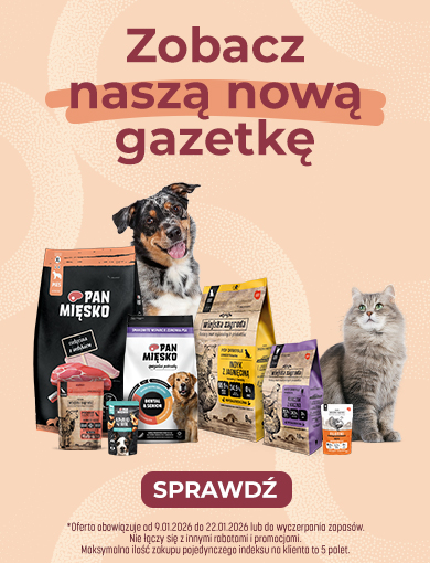 Gazetka promocyjna